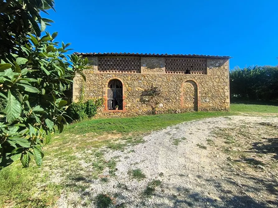 Immagine 8 di Casa colonica in vendita  a Sovicille