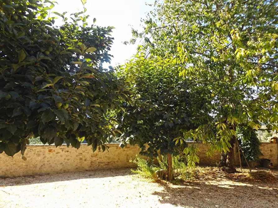 Immagine 20 di Casa colonica in vendita  a Sovicille