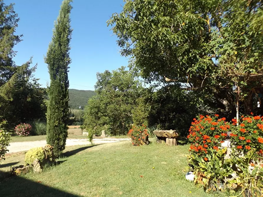 Immagine 30 di Casa colonica in vendita  a Sovicille
