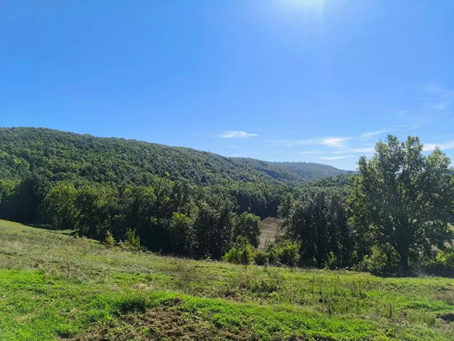 Immagine 31 di Casa colonica in vendita  a Sovicille