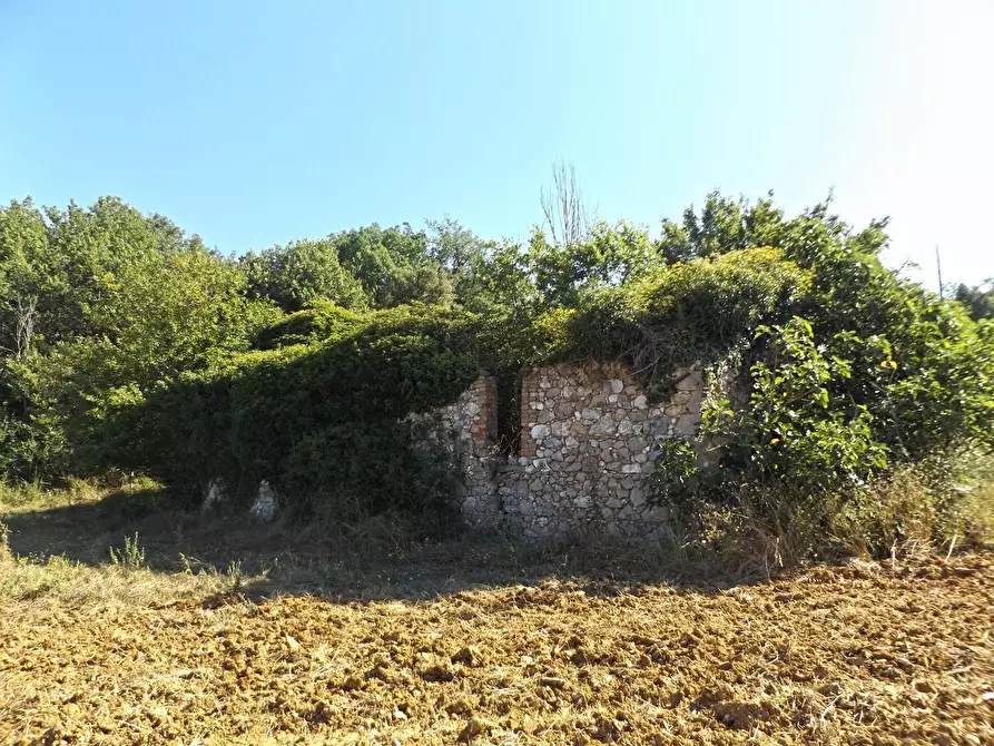 Immagine 70 di Casa colonica in vendita  a Sovicille
