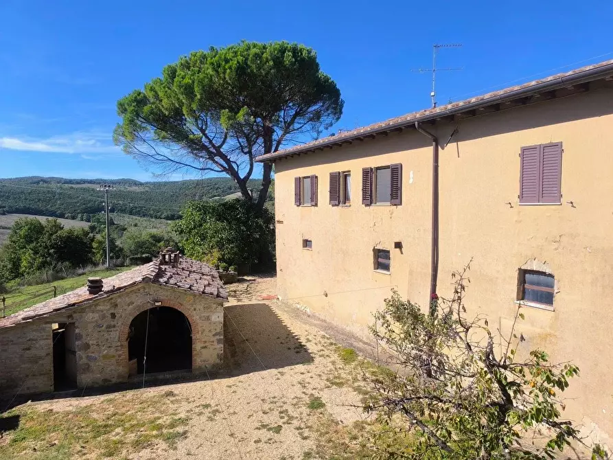 Immagine 28 di Casa colonica in vendita  a Sovicille