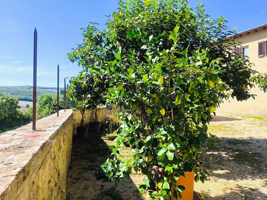 Immagine 17 di Casa colonica in vendita  a Sovicille