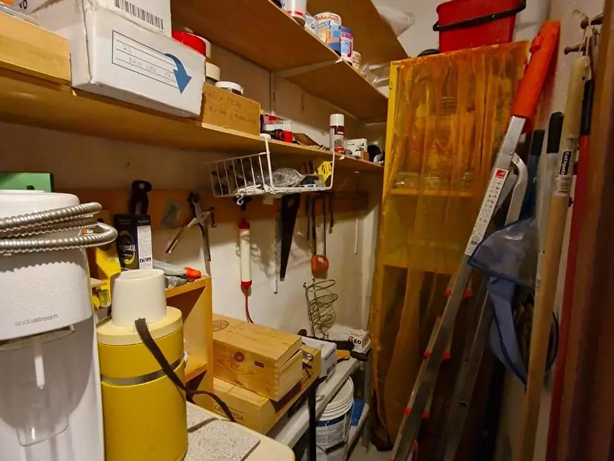 Immagine 22 di Appartamento in vendita  a Campiglia Marittima