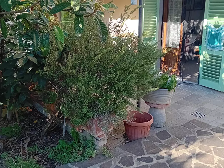 Immagine 1 di Appartamento in vendita  a Poggio A Caiano