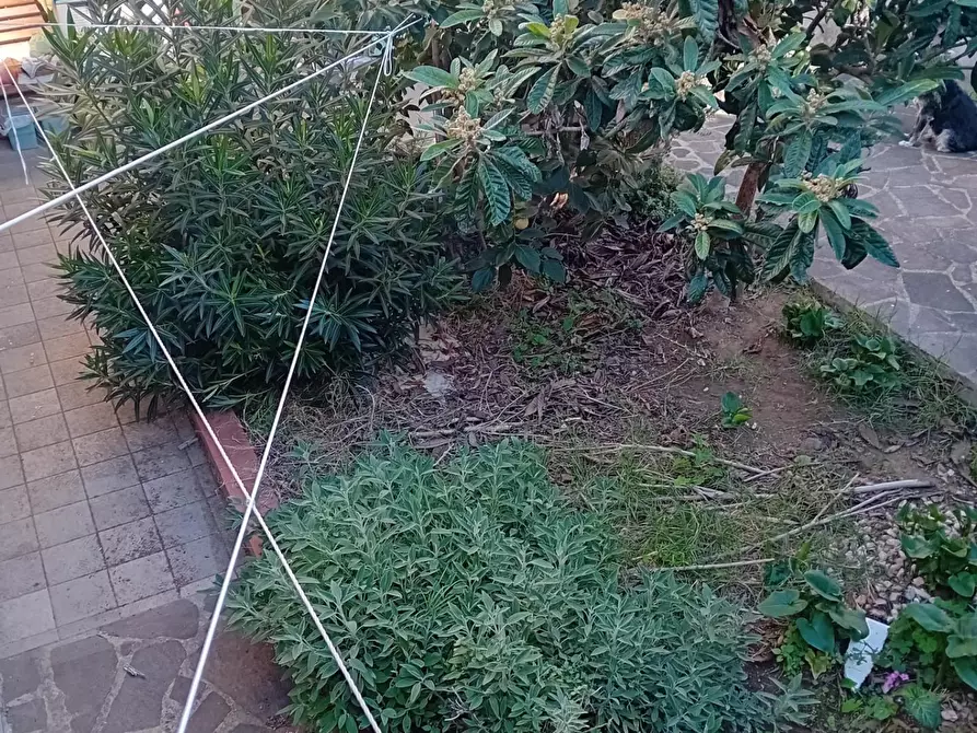 Immagine 2 di Appartamento in vendita  a Poggio A Caiano