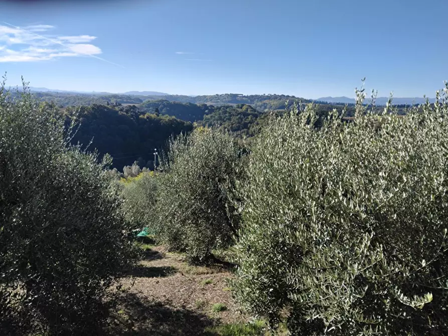 Immagine 8 di Bungalow in vendita  a Peccioli