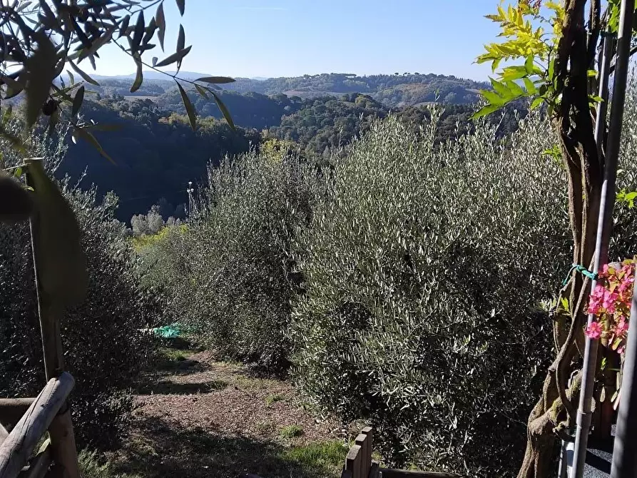 Immagine 6 di Bungalow in vendita  a Peccioli