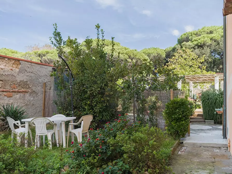 Immagine 45 di Terratetto in vendita  a Pisa