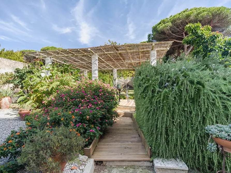 Immagine 47 di Terratetto in vendita  a Pisa