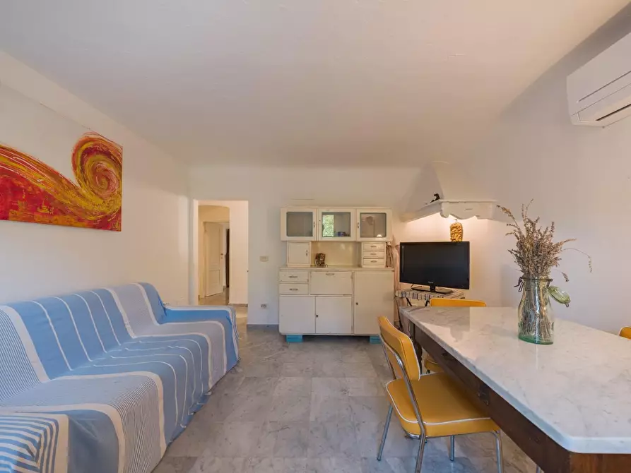 Immagine 29 di Terratetto in vendita  a Pisa