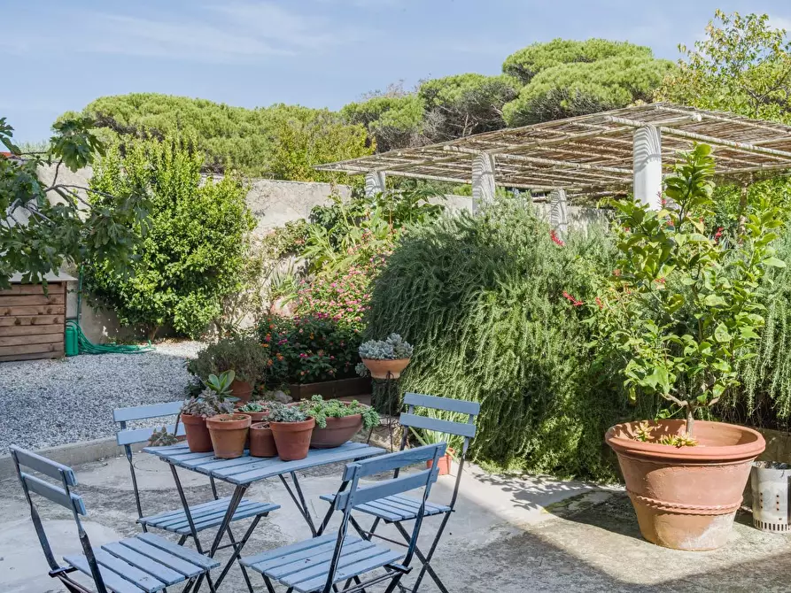 Immagine 37 di Terratetto in vendita  a Pisa