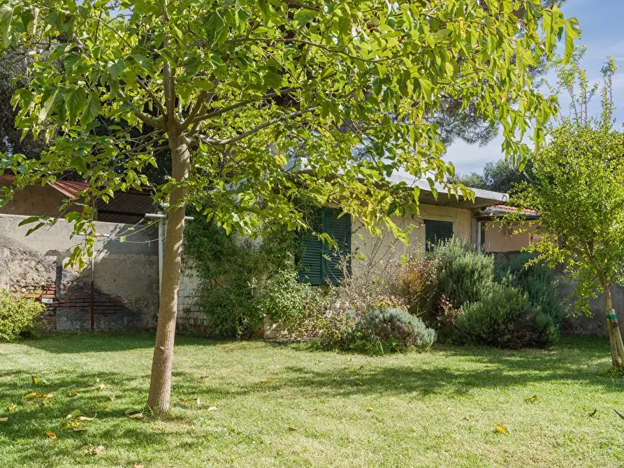 Immagine 41 di Terratetto in vendita  a Pisa