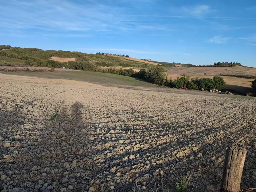 Immagine 2 di Terreno agricolo in vendita  a Castellina In Chianti
