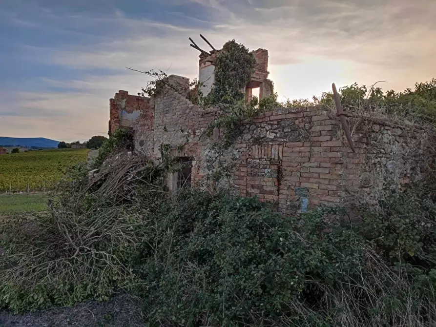 Immagine 7 di Terreno agricolo in vendita  a Castellina In Chianti