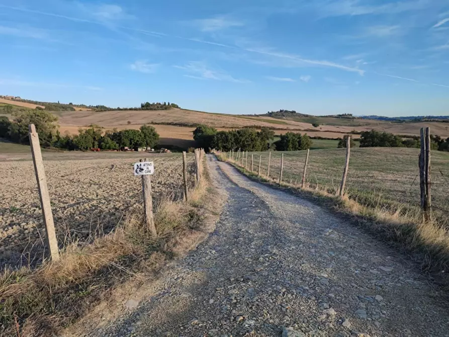 Immagine 1 di Terreno agricolo in vendita  a Castellina In Chianti