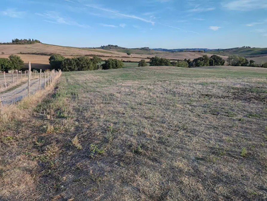 Immagine 9 di Terreno agricolo in vendita  a Castellina In Chianti