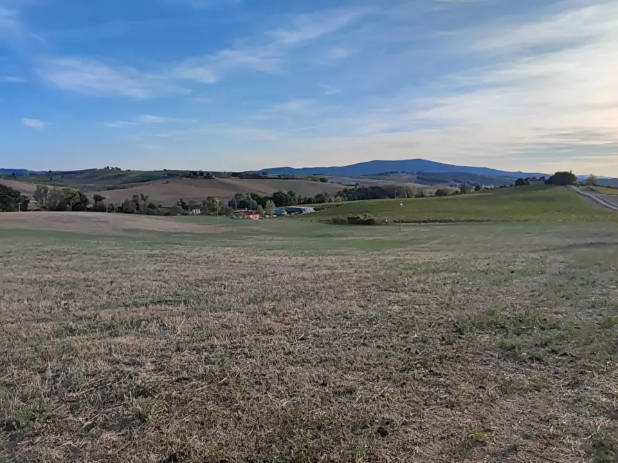 Immagine 8 di Terreno agricolo in vendita  a Castellina In Chianti