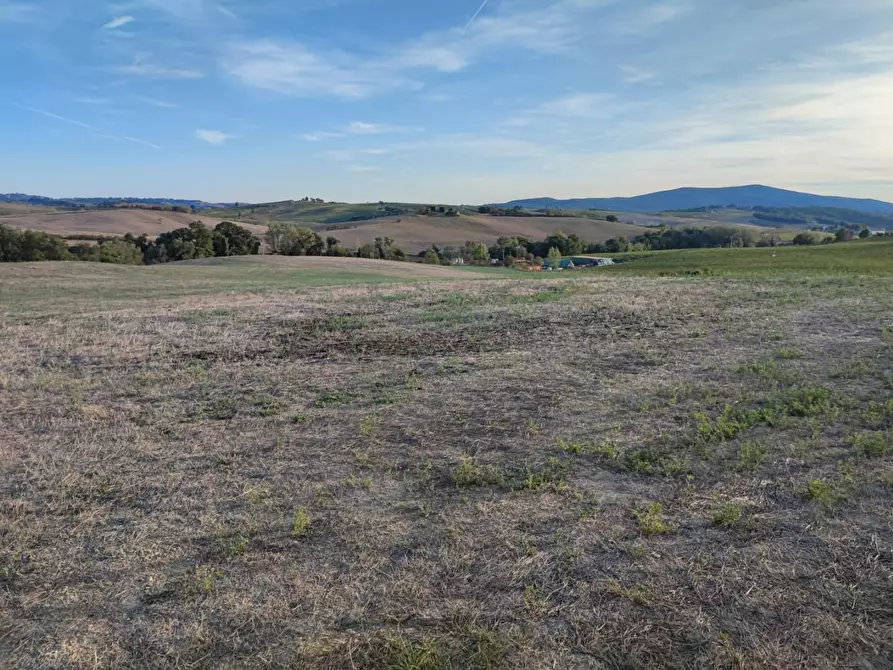 Immagine 3 di Terreno agricolo in vendita  a Castellina In Chianti