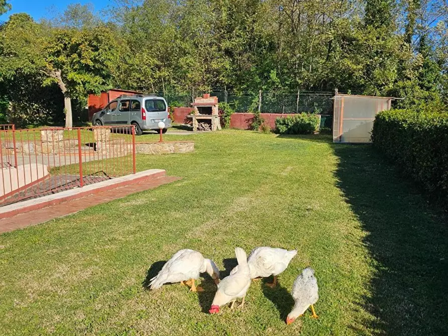 Immagine 18 di Villa in vendita  a Crespina Lorenzana