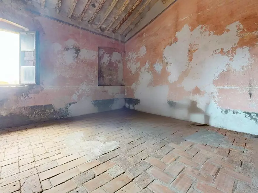 Immagine 25 di Rustico / casale in vendita  a Pisa