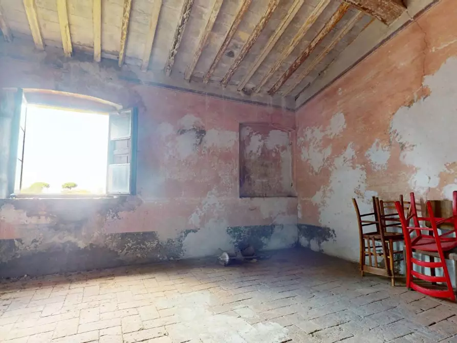 Immagine 9 di Rustico / casale in vendita  a Pisa