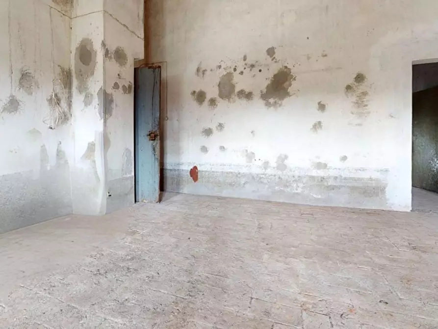 Immagine 50 di Rustico / casale in vendita  a Pisa