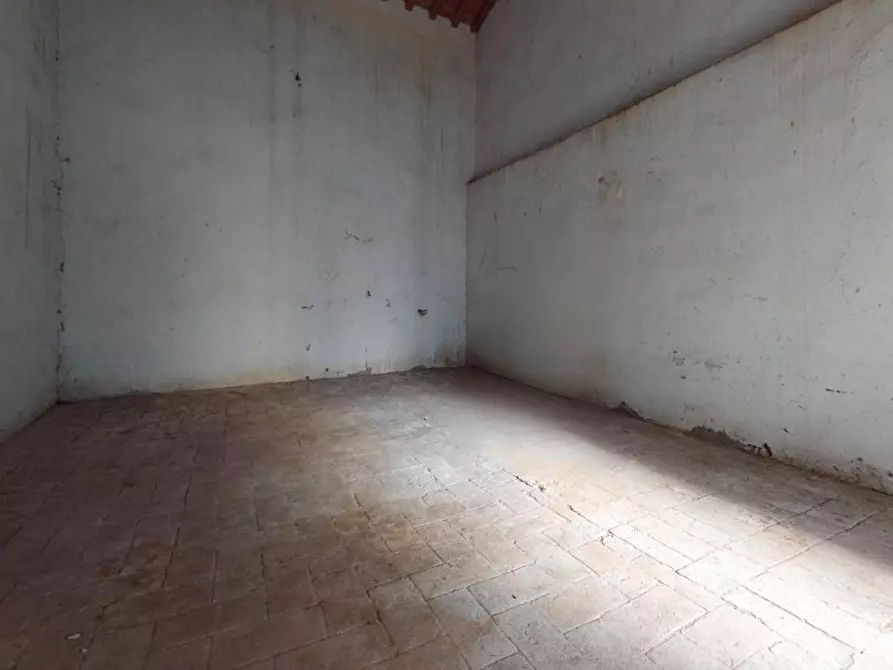 Immagine 51 di Rustico / casale in vendita  a Pisa