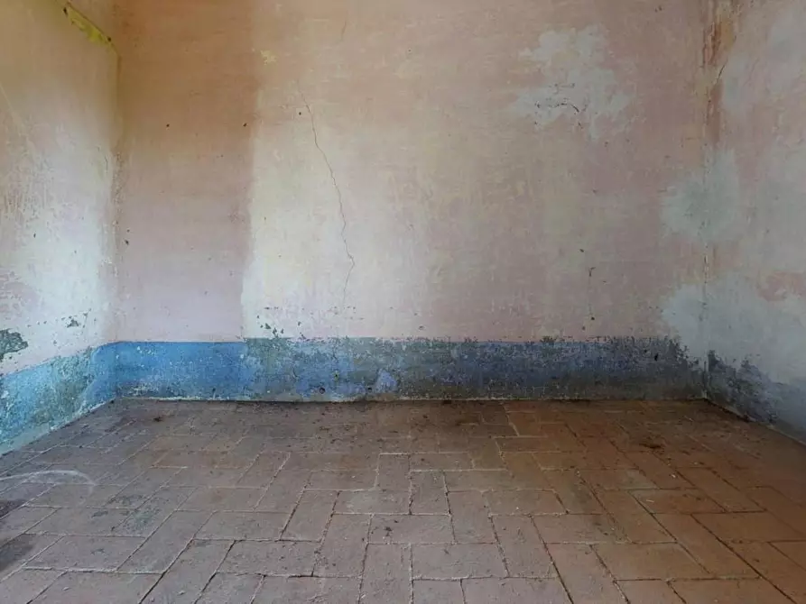 Immagine 21 di Rustico / casale in vendita  a Pisa