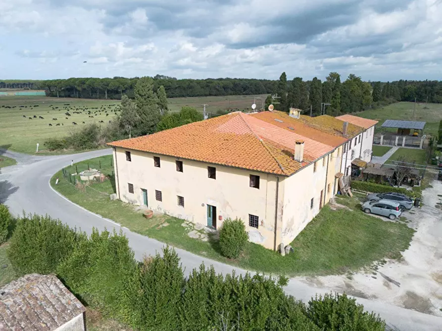 Immagine 2 di Rustico / casale in vendita  a Pisa