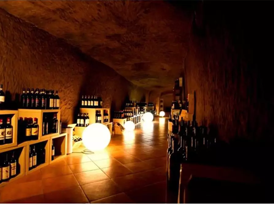 Immagine 11 di Bar / Ristorante in vendita  a Siena