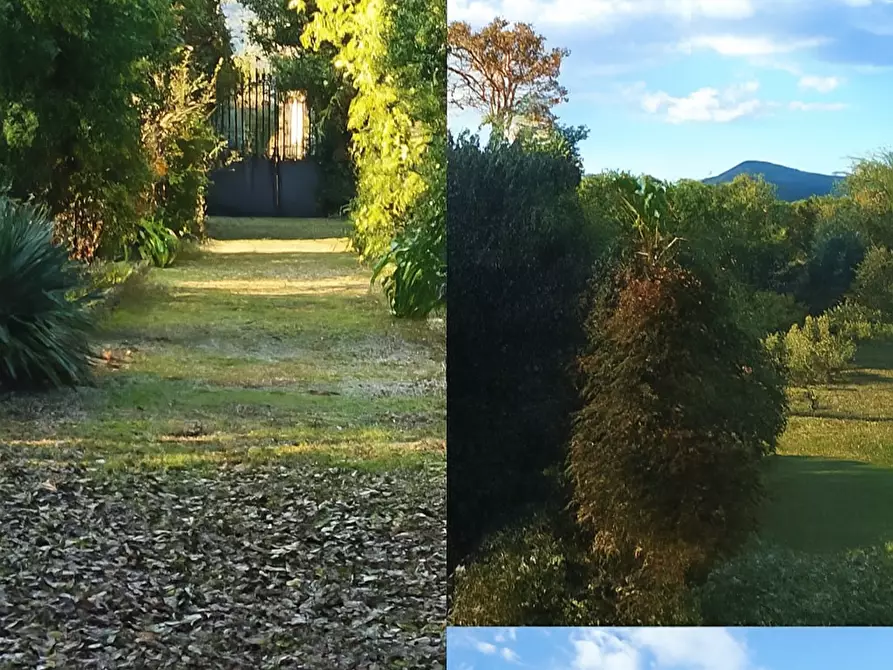 Immagine 13 di Villa in vendita  a Lucca