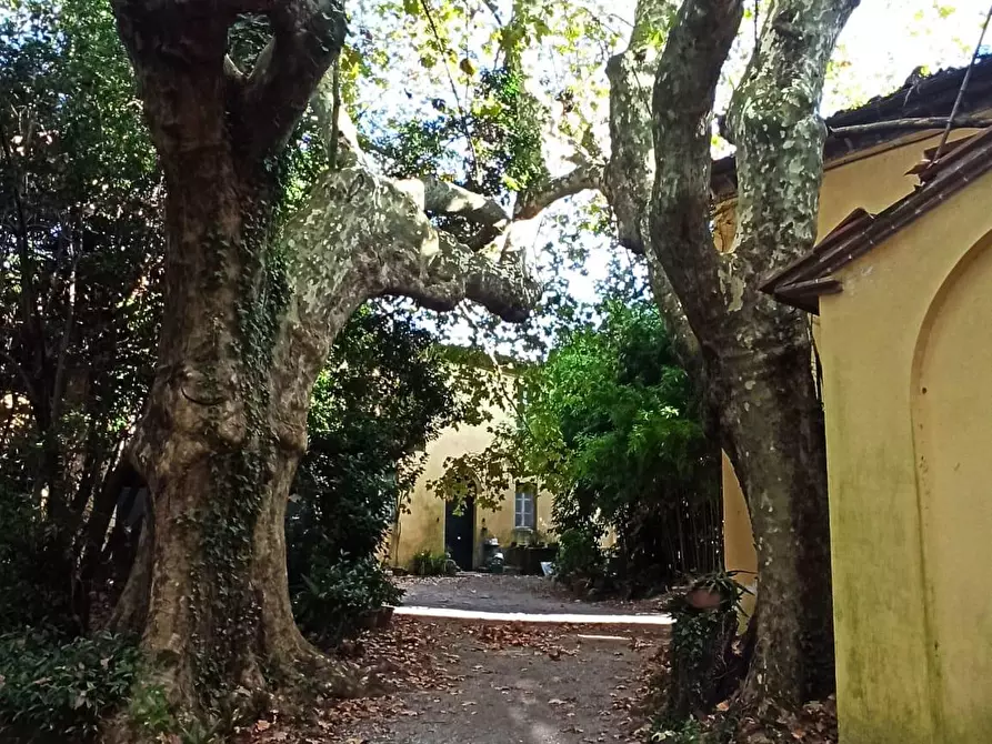 Immagine 44 di Villa in vendita  a Lucca