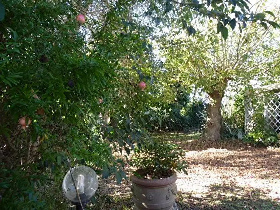 Immagine 51 di Casa indipendente in vendita  a Vecchiano