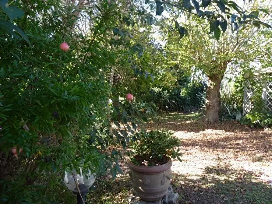 Immagine 48 di Casa indipendente in vendita  a Vecchiano