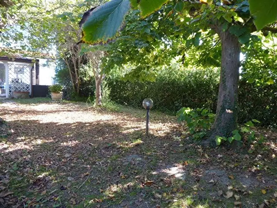 Immagine 53 di Casa indipendente in vendita  a Vecchiano