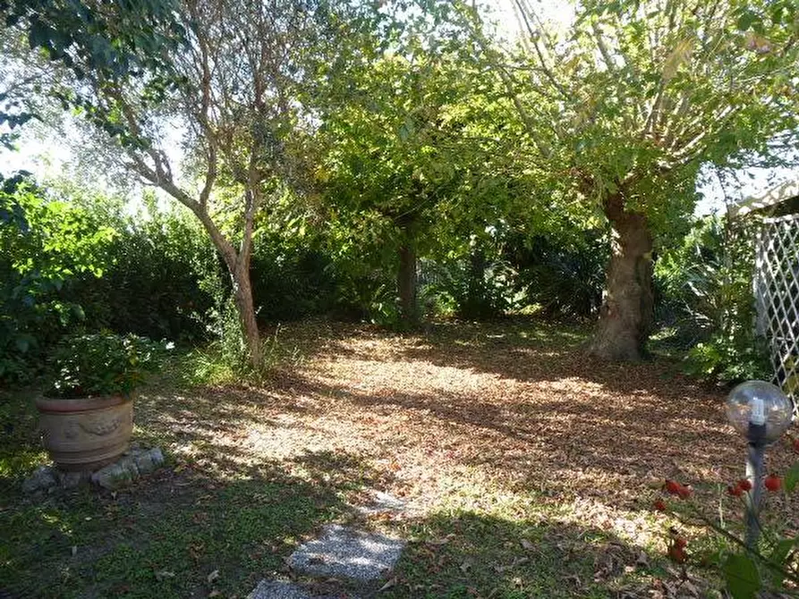 Immagine 47 di Casa indipendente in vendita  a Vecchiano