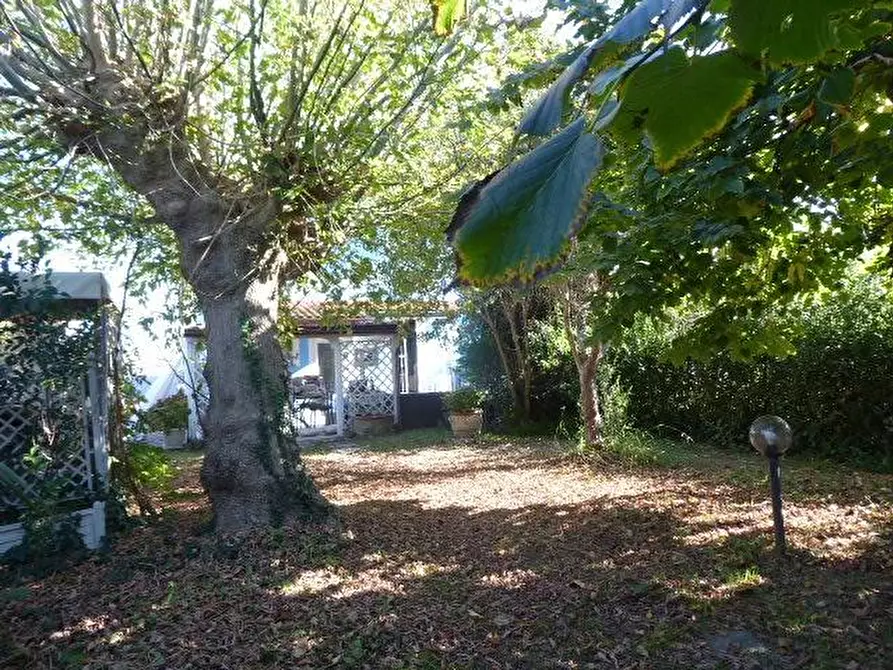 Immagine 54 di Casa indipendente in vendita  a Vecchiano