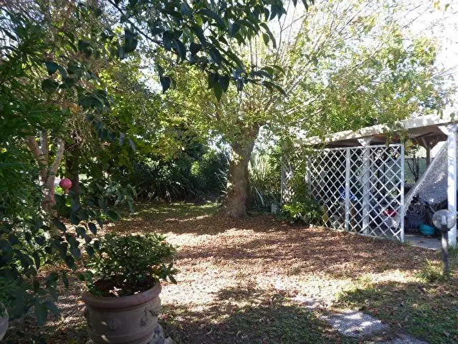 Immagine 49 di Casa indipendente in vendita  a Vecchiano