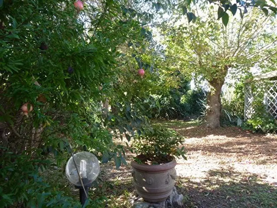 Immagine 50 di Casa indipendente in vendita  a Vecchiano