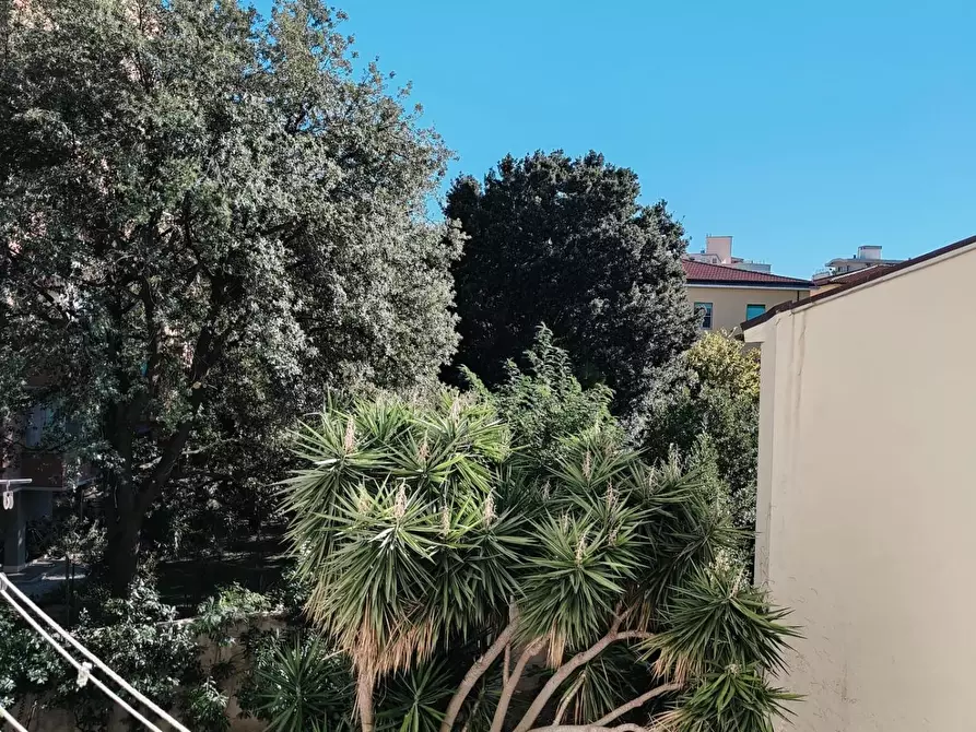 Immagine 11 di Appartamento in vendita  a Livorno