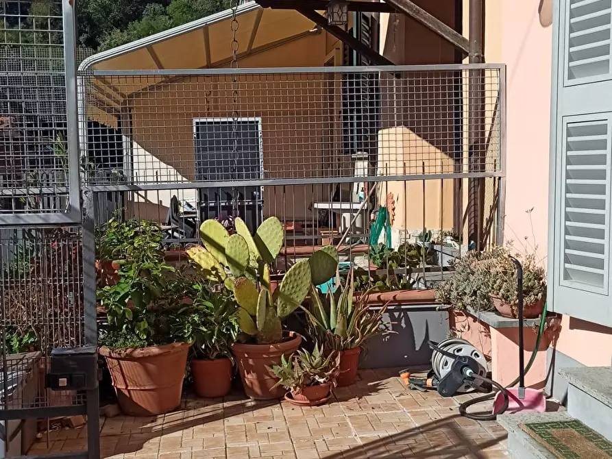 Immagine 4 di Terratetto in vendita  a Lucca