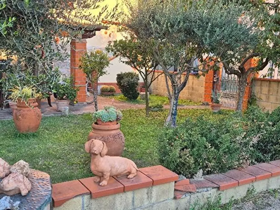 Immagine 3 di Terratetto in vendita  a Pontedera