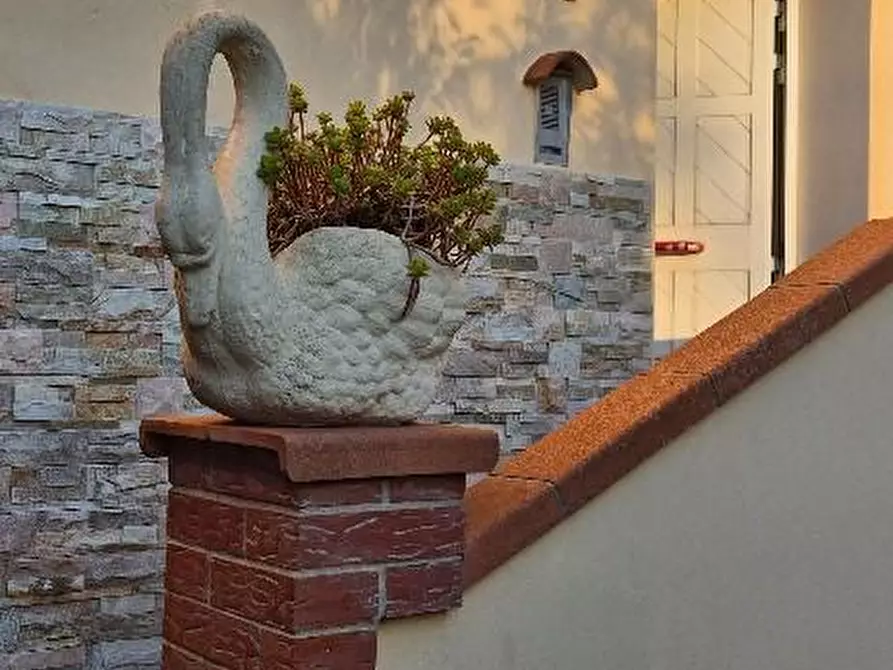 Immagine 8 di Terratetto in vendita  a Pontedera