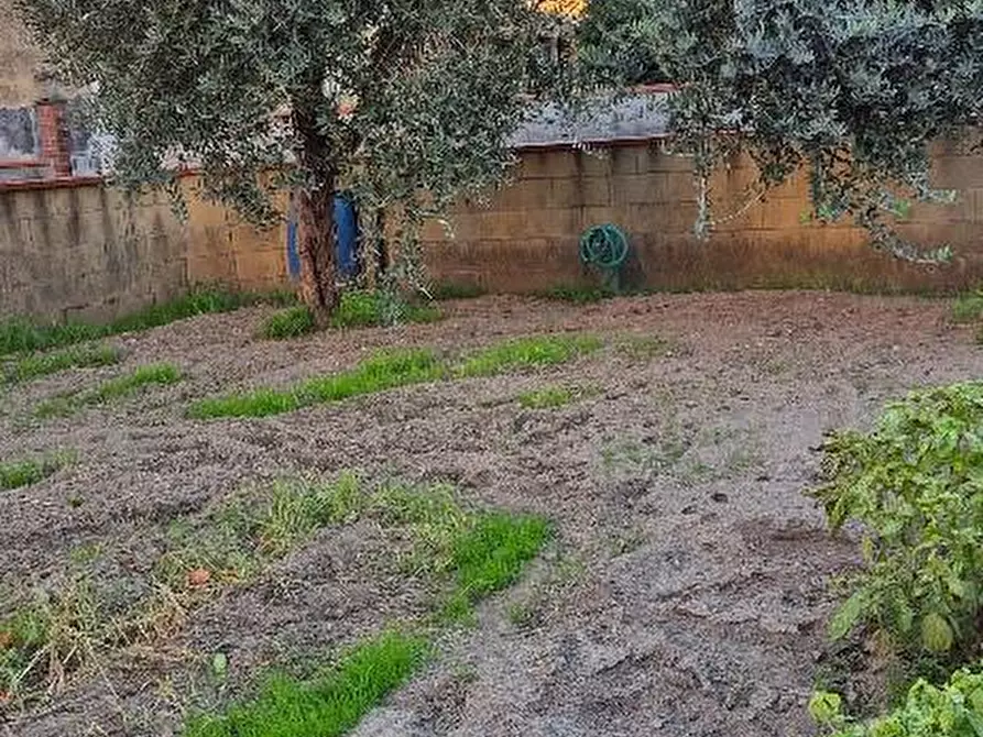 Immagine 2 di Terratetto in vendita  a Pontedera