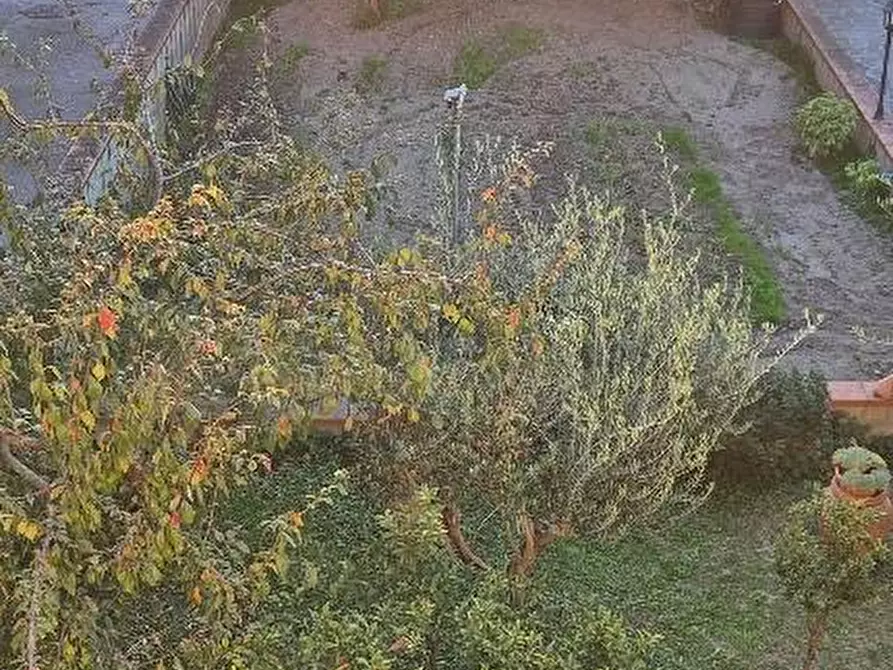 Immagine 27 di Terratetto in vendita  a Pontedera