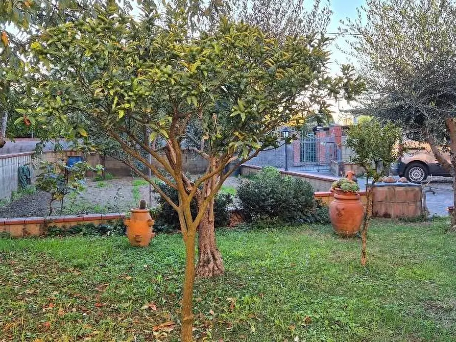 Immagine 6 di Terratetto in vendita  a Pontedera