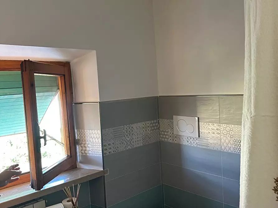 Immagine 8 di Terratetto in vendita  a Campiglia Marittima