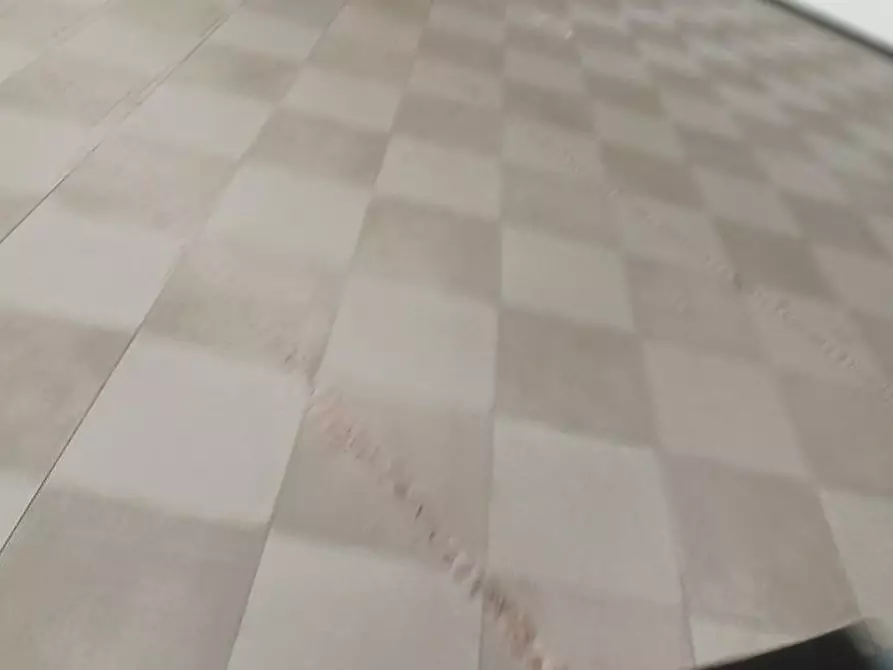 Immagine 27 di Attività artigianale in vendita  a Capannori