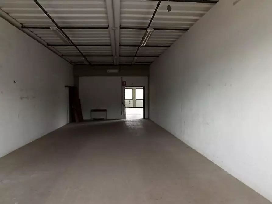 Immagine 21 di Attività artigianale in vendita  a Capannori